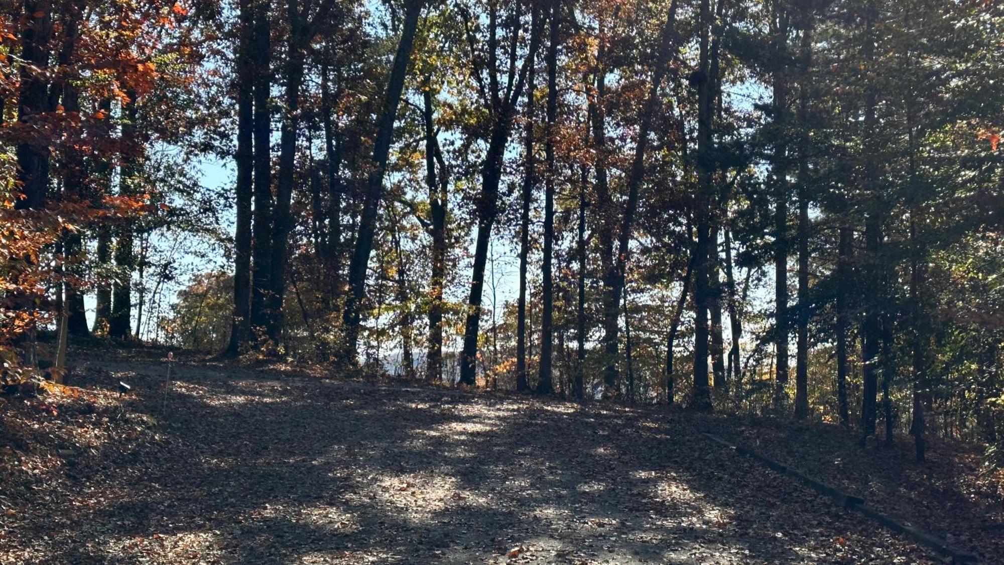 Appalachian Mountain Cabin-Updated-Private-Rafting On Ocoee River-Hiking-Waterfalls-Wifi-Pets Ok Murphy Exterior foto